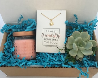Live succulent friend gift box with candle and necklace - a sweet friendship refreshes the soul -friendship gift - birthday present