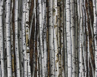 North by Northwest Birchtree Fabric by Benartex Kanvas