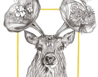 Stag of the Rising Sun. Limited edition print in A4. Signed.