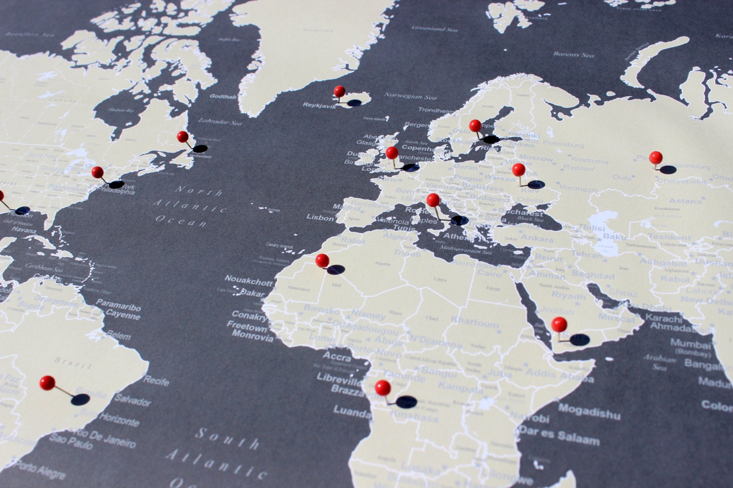 world pin map