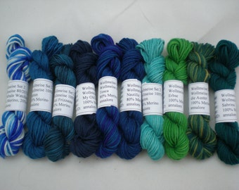 Mini Skeins - Wollmeise Pure and Twin 6g set of 10 (set 2)