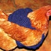 Custom Made Crochet Chicken Sweater / Sweater for Chickens, Hens or Roosters / Chicken Vest