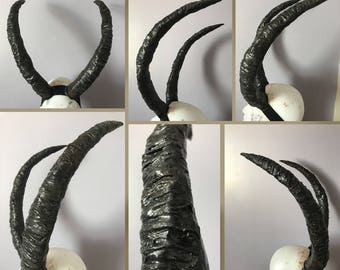 ibex horns