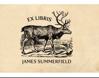 Outdoor Lover Library Stamp, Vintage Book Stamp, From the Library of Stamp, Self-inking or Wooden Handled Stamp, Vintage Plane