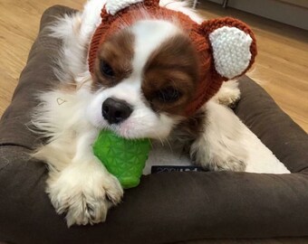 Dog snoods with ears