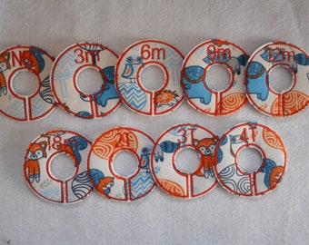 orange and blue fox closet divider set