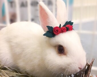 Pet Rabbit Rose Crown, Pet Rabbit Flower Accessory, Pet Rabbit Flower crown