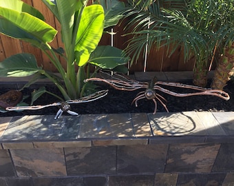 Garden dragonfly's