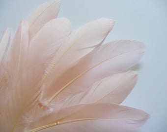 Blush Pink Goose Feathers Dyed Millinery Goose Satinettes Trim for Hats Fascinators Crafts Costumes Set of 12