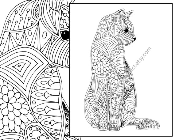 cat coloring page advanced coloring page adult coloring