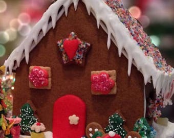 10pc Gingerbread House