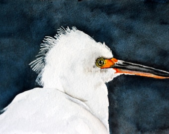 Watercolor Egret painting Snowy Egret by Betty Moore