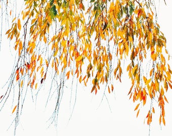 Botanical Bliss - Fine Art Photography