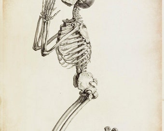 Skeleton Art - Skeleton Drawing - Antique Medical - Antique Scientific - Bone Art - Anatomy Drawing
