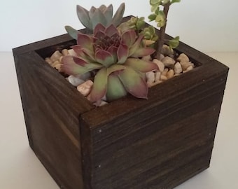 Beautiful Handmade Wood Succulent Planter