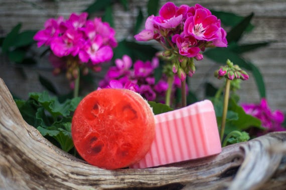 Cleopatra (Rose Lemon & Geranium)Natural Loofah Exfoliating Glycerin Soap