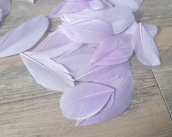 set of 10 Purple Violets feathers 5cm high
