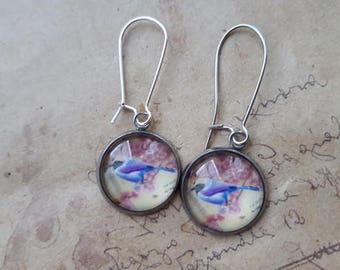 Cabochon earrings ~ Bluetit ~.