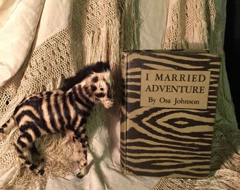 I MARRIED ADVENTURE Antique Travel Book with Vintage Zebra Toy Decor Real Fur
