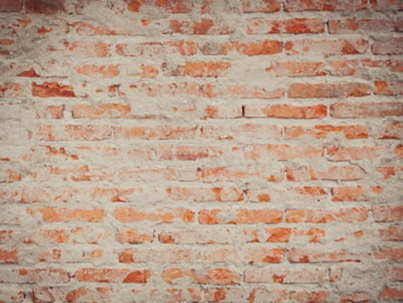 Old Rustic Brick Wall Photo Background Shabby Peeling Photography Vinyl Backdrop Children Kids Photoshoot Backdrops D 7663 Old Rustic Brick Wall Photo Background Shabby Peeling Photography Vinyl Backdrop Children Kids Photoshoot Backdrops D 7663