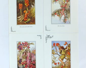Autumn decor, Playroom wall art, CM Barker Prints, Autumn berries, Four Flower Fairies Prints, Rose Hip, Yew, Wayfaring Tree, Nursery decor