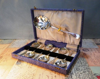 Set of 1950's Silver Plated Spoon Set - cased set of 6 vintage pudding or fruit spoons with serving spoon