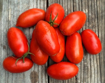 SALE! Roma Paste Tomato Italian Heirloom Seeds Organically Grown Excellent Fresh or Cooked Canned Determinate Variety