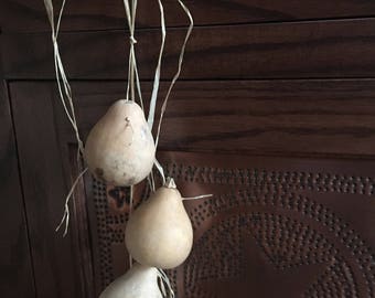 Primitive or Fall Accent Gourd Garland