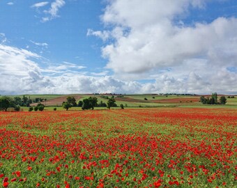 Colorful landscape | Etsy