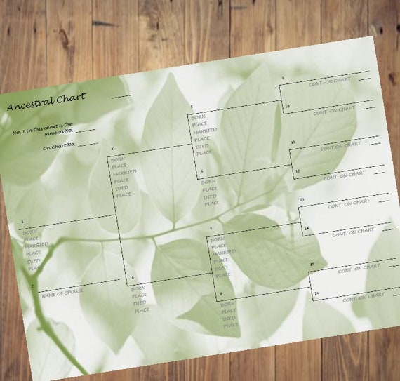 printable ancestral chart family tree pedigree plus basic