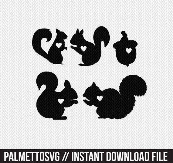squirrel heart svg dxf jpeg png file instant download stencil