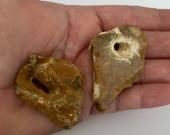 Two hag stones // odin stones // holey stones // fairy stones // adder stones // altar collection // good luck amulet // lucky charm
