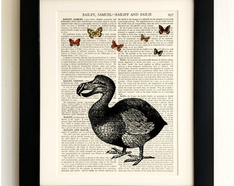 FRAMED ART PRINT on old antique book page - Dodo, Butterflies, Vintage Wall Art Print Encyclopaedia Dictionary Page