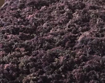Raw Purple Irish Moss Wild-Harvested