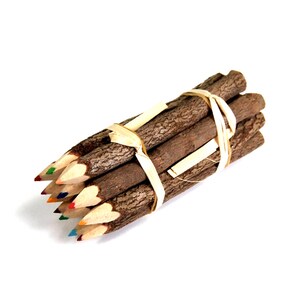 Branch Pencil Bundle 5 Inch Lengths 1 Dozen Colored Pencils Novelty Decorative