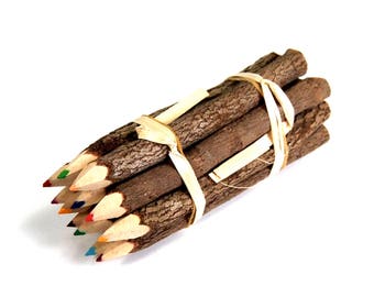 Branch Pencil Bundle 5 Inch Lengths 1 Dozen Colored Pencils Novelty Decorative