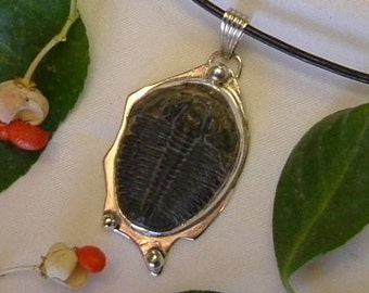 Trilobite Necklace Fossil Cheeks Utah Natural Fossil Handmade One of a Kind Sterling Silver and 18" Leather Necklace Cord Black 369 G