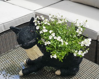 Black And White Cat Planter