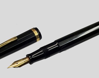 Penna stilografica OMAS- EXTRA 556F