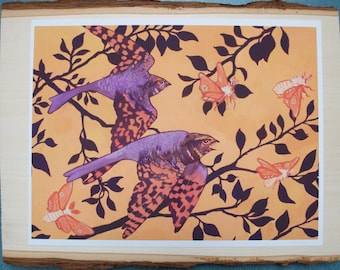 Whippoorwills Print // bird print