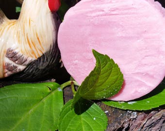 Hair Conditioner Bar, Conditioner Bar, Raspberry Lemonade Solid Conditioner Bar, Dry Hair Conditioner, Leave in Conditioner, Curly Hair