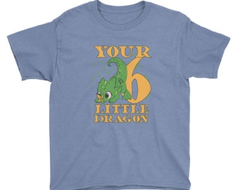 Six year old your little dragon birthday boy and girl t-shirt