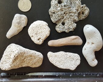 7 Beach Stones with Holey Stone / Hag Stone