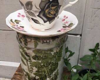 Royal Ascot Black Rose Cup with Queen Anne Bone China Saucer