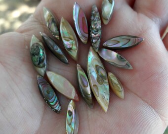 24 pc Abalone Shell Petal-Shaped Cabochon - Assorted Sizes (DX953)