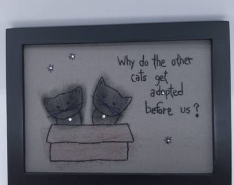 Why do the other cats get adopted before us?