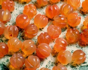 Carnelian corrugated round aprox 5mm, 10 pcs (item ID F7961GS)
