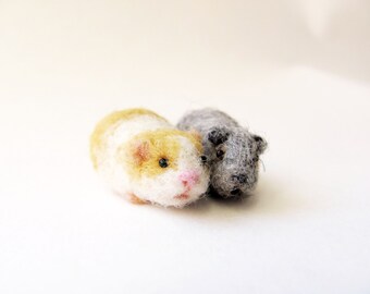 Miniature guinea pig
