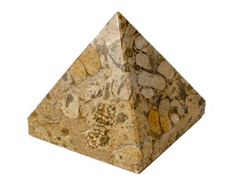 Fossilized Coral Pyramid
