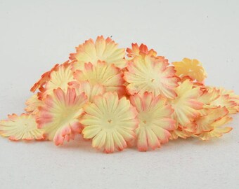 Sunset Mulberry Paper Blooms Pbc010